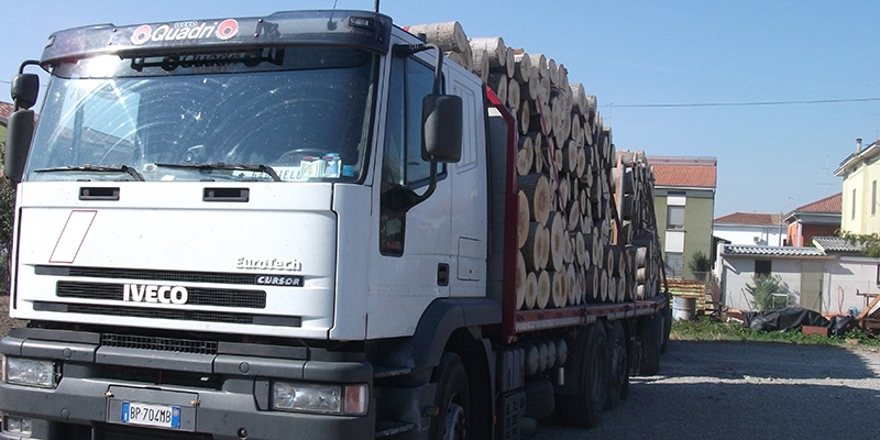 Autocarro-per-consegna-legna-tronchi-Parma